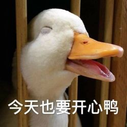 -鲸彩·美甲美睫科技护肤