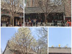 -护国法轮寺
