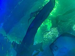 -成都浩海立方海洋公园