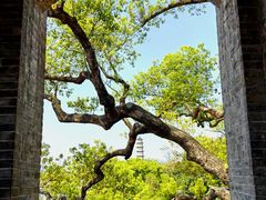 -江心屿景区