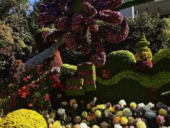 -杭州植物园