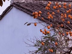 -苏州市立医院本部母子保健中心