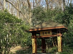 -灵谷景区