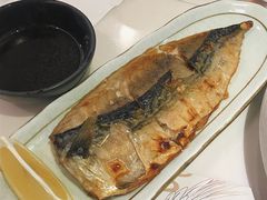 盐烧鲭花鱼定食-羽寿司(东方宝泰店)
