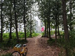 -汉水公园