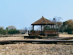 -梁鸿国家湿地公园