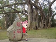 -瑞丽独树成林风景区