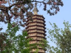 -西海子公园