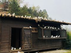 -白鹿原影视城