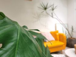 -杨丹国际美学肌研所