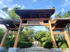 -阳台山自然风景区