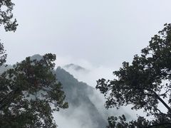 -塔云山