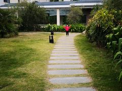 -厦门悦华酒店·绿庭主题自助餐厅