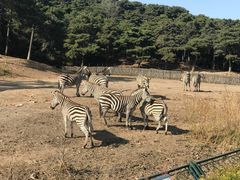 -沈阳森林动物园