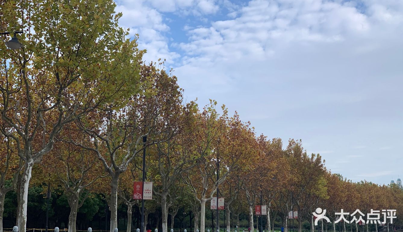 秋游世纪公园（10🈷️篇）