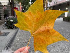 -飞马旅黎黄陂路文旅街区
