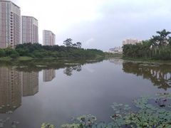 -聚龙山公园