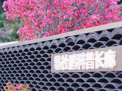 -莲花山公园