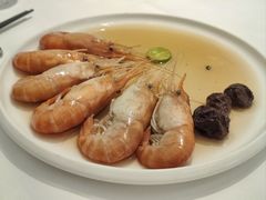 -圆苑(静安寺店)