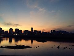 -野狸岛