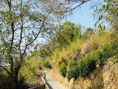 -新安江山水画廊风景区