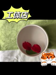 -梵隐SPA