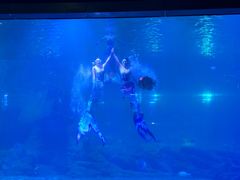 -福州罗源湾海洋世界旅游区