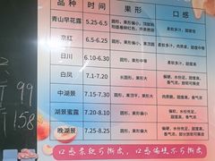 -老袁家蜜桃农场·阳山水蜜桃