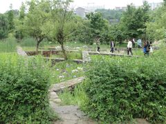 -贵阳市花溪国家城市湿地公园