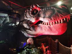 -恐龙探索乐园(磁器口店)