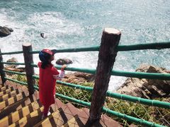 -广东惠东海龟国家级自然保护区