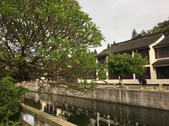 -南沙蒲洲花园