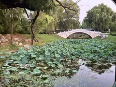 -天平湖公园