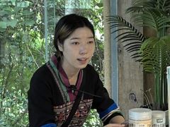 -西双版纳原始森林公园