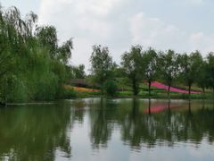 -梁鸿国家湿地公园