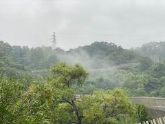 -福道