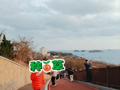 -星海湾跨海大桥