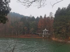 -四明山国家森林公园