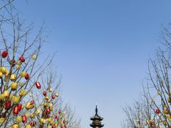 -龙华素斋(龙华路店)