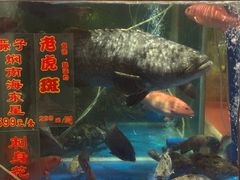 -惠食佳(滨江大公馆店)