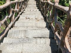 -旗岭森林公园