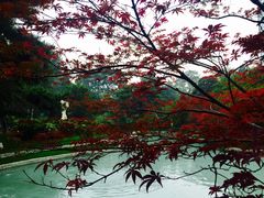 -钓鱼台国宾馆
