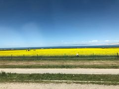 -青海湖国家重点风景名胜区