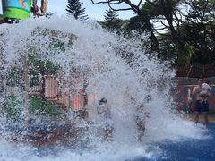 -新加坡飞禽公园