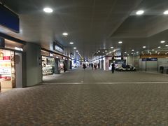 -日上免税行(浦东机场五店)