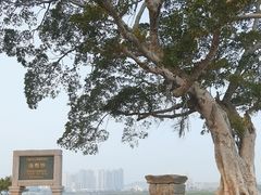 -洛阳桥