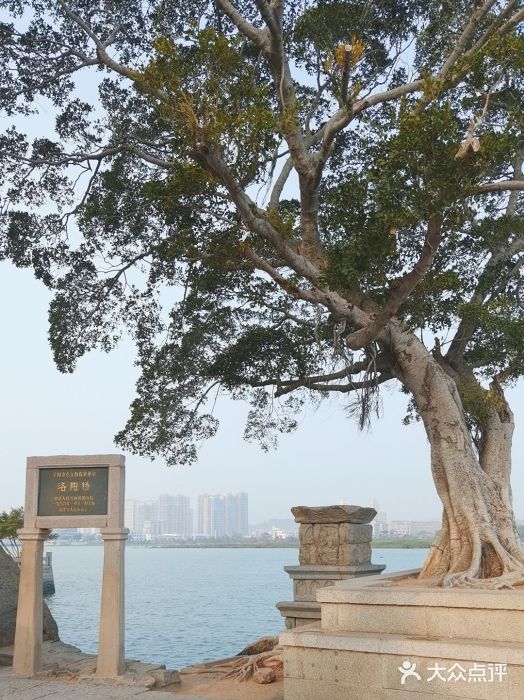 洛阳桥图片