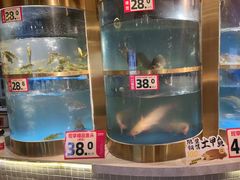 -蜀滋香鲜鱼美蛙火锅(339店)