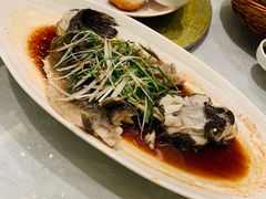 清蒸鲥鱼-和记小菜(东方店)