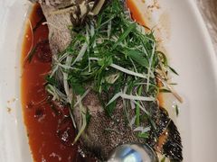 -大东海海鲜酒楼(渔人码头总店)